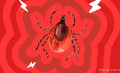 лаборатория гемотест на салмышской улице изображение 4 на проекте infodoctor.ru